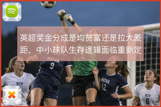 英超奖金分成是均贫富还是拉大差距,中小球队生存逻辑面临重新定义